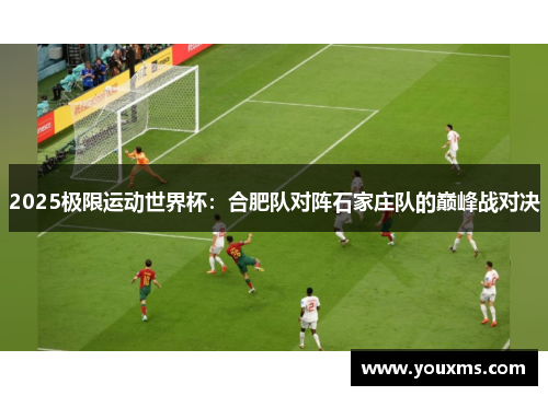 2025极限运动世界杯：合肥队对阵石家庄队的巅峰战对决